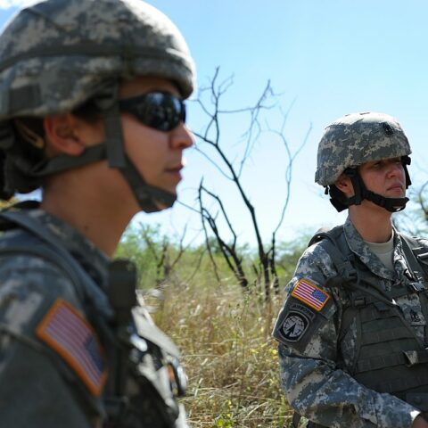 US Reserve Troops Military Army